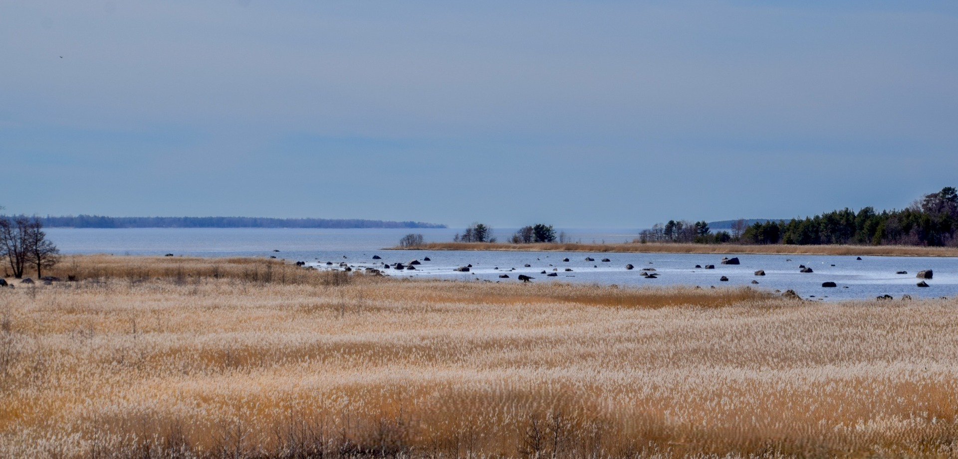 Leveäkarin luontotorni, Preiviikinlahti Pori