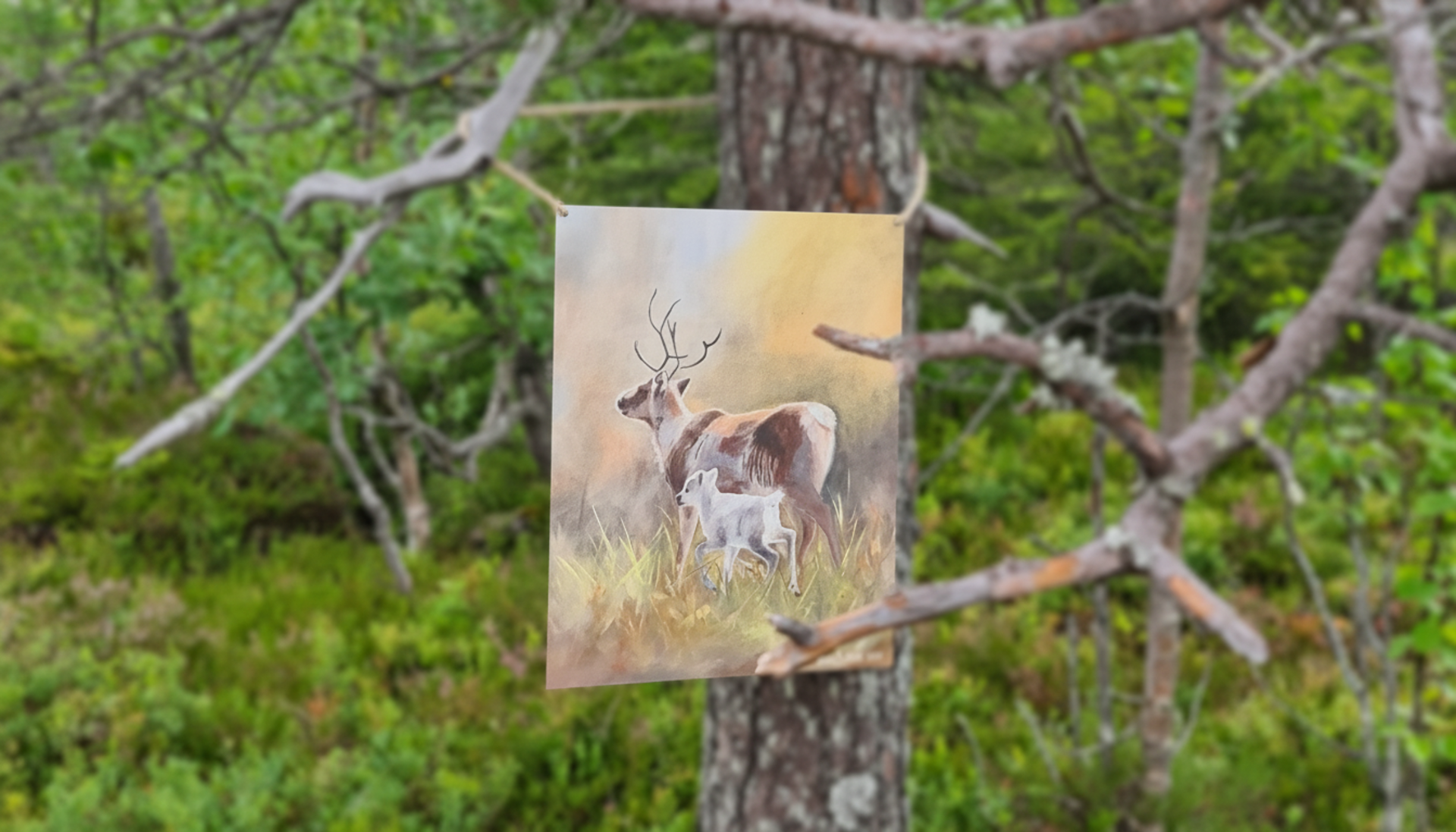 Huippupolku, Iso-Syöte
